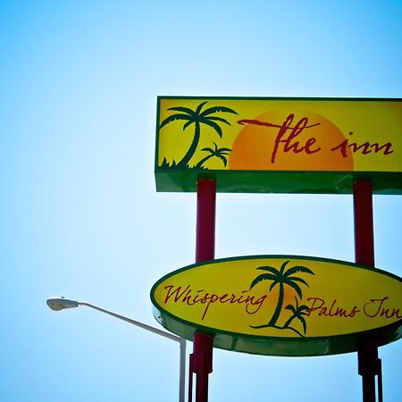 Whispering Palms Inn Del Rio Dış mekan fotoğraf