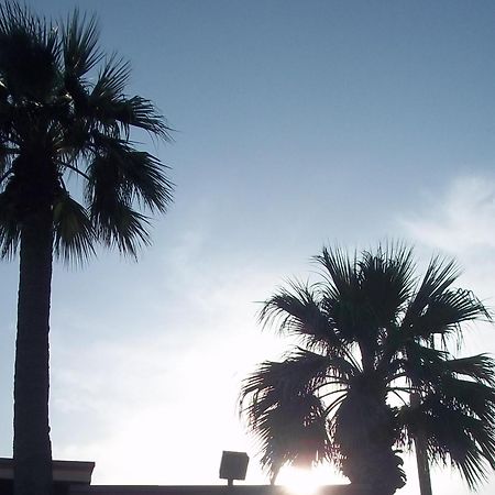 Whispering Palms Inn Del Rio Dış mekan fotoğraf
