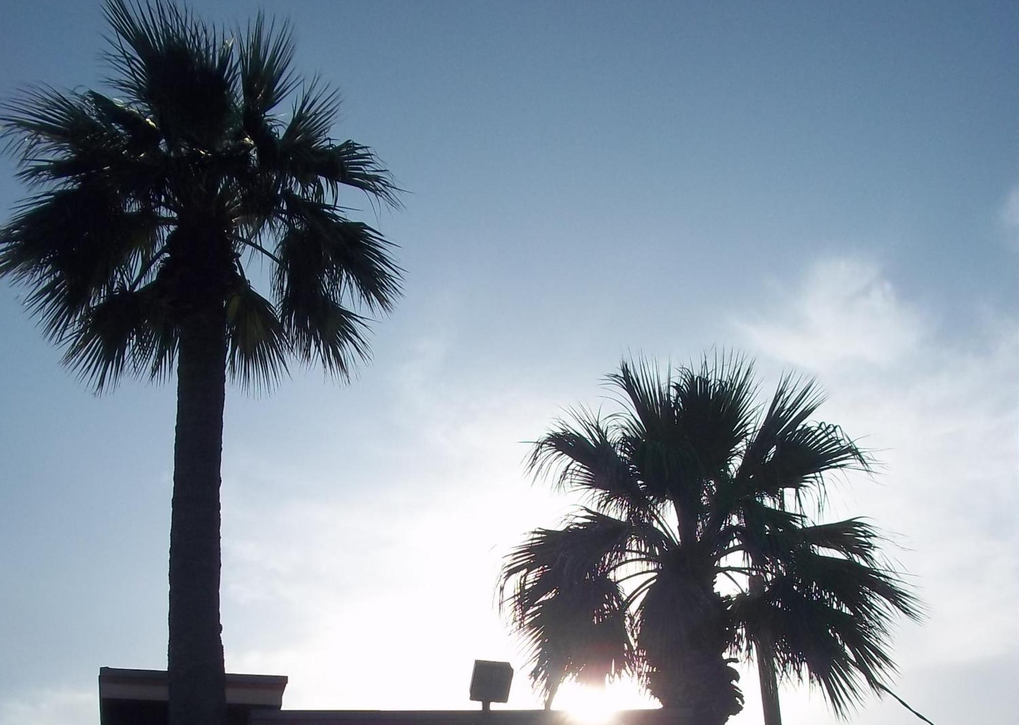 Whispering Palms Inn Del Rio Dış mekan fotoğraf